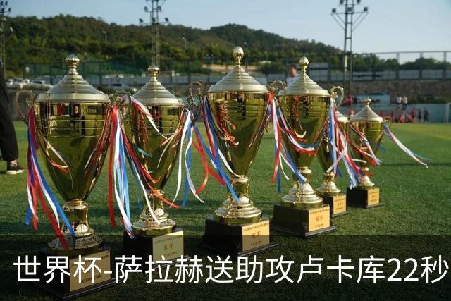 世界杯-萨拉赫送助攻卢卡库22秒造乌龙 比利时1-1埃及