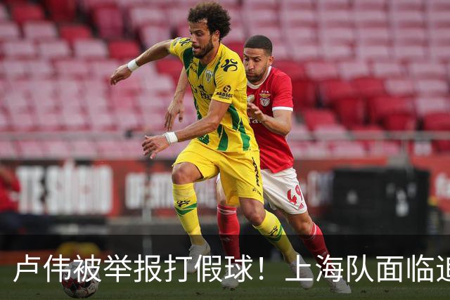 卢伟被举报打假球！上海队面临追罚，张镇麟坑惨球队