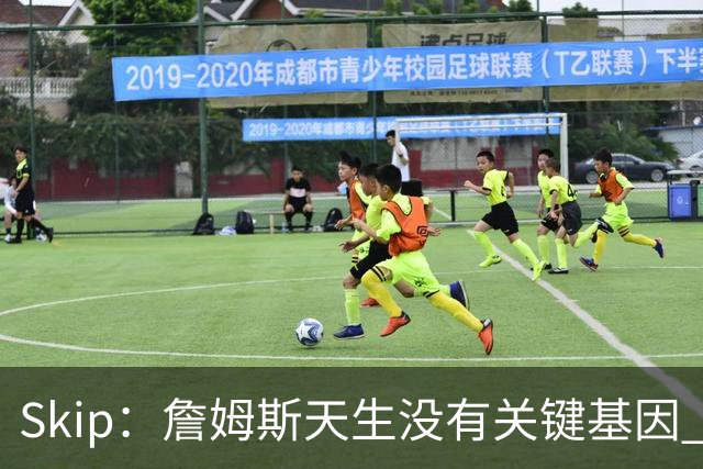Skip：詹姆斯天生没有关键基因 总决赛胜率也是历史垫底